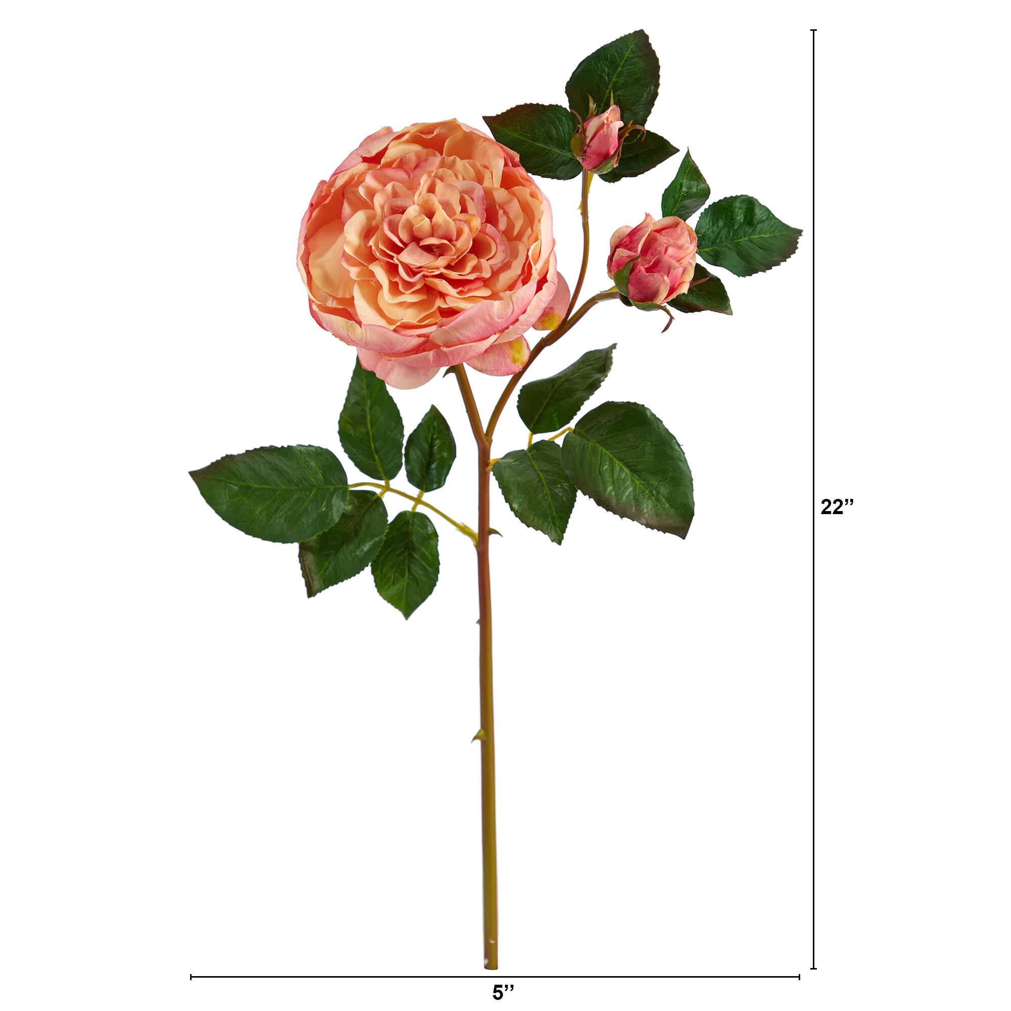 Peach & Pink Rose Stem, 6ct.